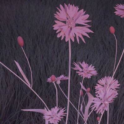 半岛·中国官方网站